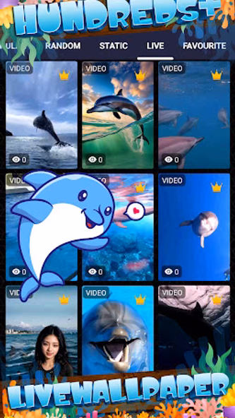 dolphin wallpaper Screenshot 3 - AppWisp.com dolphin wallpaper Screenshot 3 - AppWisp.com