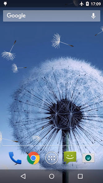 Dandelion Live Wallpaper Screenshot 1 - AppWisp.com Dandelion Live Wallpaper Screenshot 1 - AppWisp.com