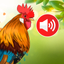Animal sounds & wallpaper - AppWisp.com