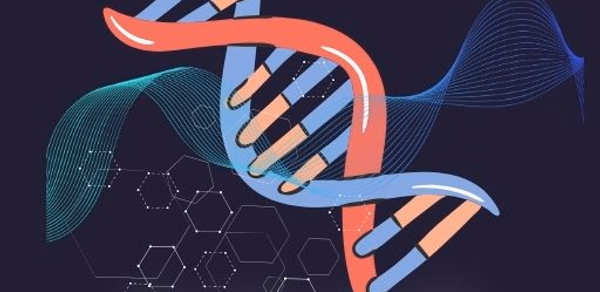 BIOLOGY E QUIZ Header - AppWisp.com BIOLOGY E QUIZ Header - AppWisp.com