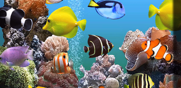 Aquarium Live Wallpaper Header - AppWisp.com Aquarium Live Wallpaper Header - AppWisp.com