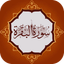 سورة البقرة كاملة بدون انترنت - AppWisp.com