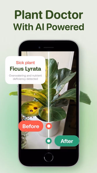 AI Plant Identifier - Plant ID Screenshot 3 - AppWisp.com AI Plant Identifier - Plant ID Screenshot 3 - AppWisp.com