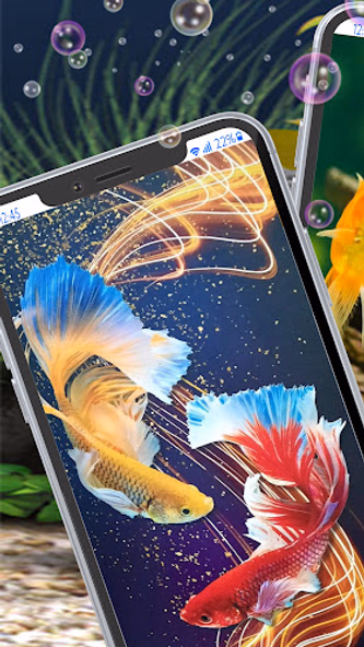 Cute Fish Wallpapers HD Screenshot 1 - AppWisp.com Cute Fish Wallpapers HD Screenshot 1 - AppWisp.com
