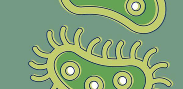 Bacteria: Types, Infections Header - AppWisp.com Bacteria: Types, Infections Header - AppWisp.com
