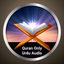 Quran Urdu Audio Translation - AppWisp.com
