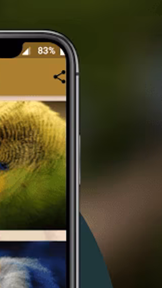 Parakeet Sounds Screenshot 2 - AppWisp.com Parakeet Sounds Screenshot 2 - AppWisp.com