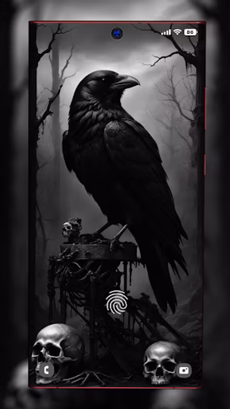 Black Wallpapers Screenshot 3 - AppWisp.com