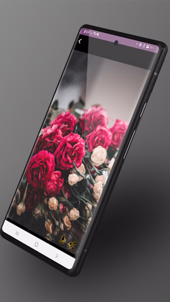 خلفيات ورود : صور ورد وفل Screenshot 2 - AppWisp.com خلفيات ورود : صور ورد وفل Screenshot 2 - AppWisp.com