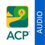 ACP Audio - AppWisp.com
