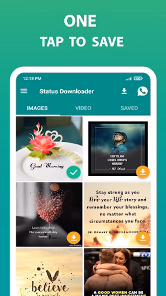 Story Downloader for WA and WB Screenshot 1 - AppWisp.com Story Downloader for WA and WB Screenshot 1 - AppWisp.com