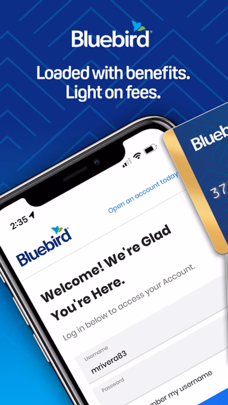 Bluebird App Screenshot 1 - AppWisp.com Bluebird App Screenshot 1 - AppWisp.com