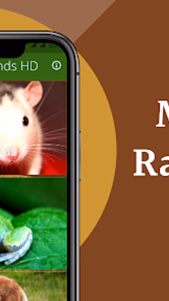Mouse and Rat sounds Screenshot 2 - AppWisp.com Mouse and Rat sounds Screenshot 2 - AppWisp.com
