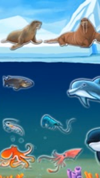 Amazing Ocean Animals- Educational Learning Apps for Kids Free Screenshot 1 - AppWisp.com