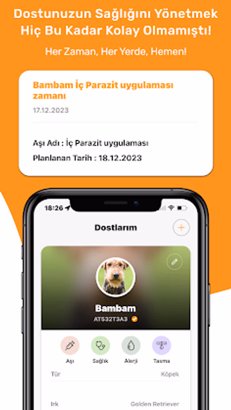 Petinoks: Pet SuperApp Screenshot 4 - AppWisp.com Petinoks: Pet SuperApp Screenshot 4 - AppWisp.com