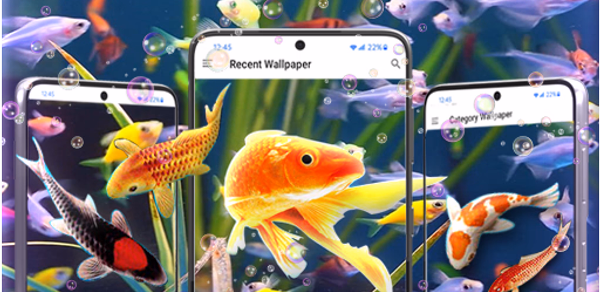 Cute Fish Wallpapers HD Header - AppWisp.com Cute Fish Wallpapers HD Header - AppWisp.com