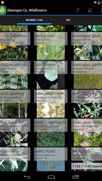 Kansas Plants Screenshot 3 - AppWisp.com Kansas Plants Screenshot 3 - AppWisp.com