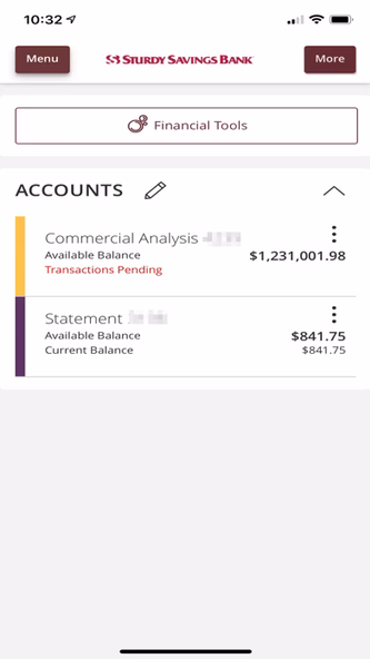 Sturdy Savings Mobile Banking Screenshot 1 - AppWisp.com Sturdy Savings Mobile Banking Screenshot 1 - AppWisp.com
