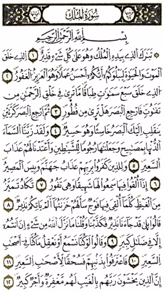 القرآن الكريم - ورش عن نافع Screenshot 1 - AppWisp.com القرآن الكريم - ورش عن نافع Screenshot 1 - AppWisp.com
