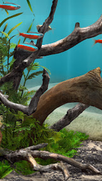 Fish Farm 4: 3D Aquarium Screenshot 1 - AppWisp.com Fish Farm 4: 3D Aquarium Screenshot 1 - AppWisp.com