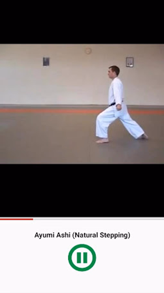 Learn Karate Techniques Screenshot 4 - AppWisp.com Learn Karate Techniques Screenshot 4 - AppWisp.com