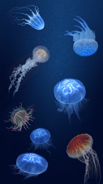 Jellyfish Heaven - Relax Time Screenshot 1 - AppWisp.com Jellyfish Heaven - Relax Time Screenshot 1 - AppWisp.com