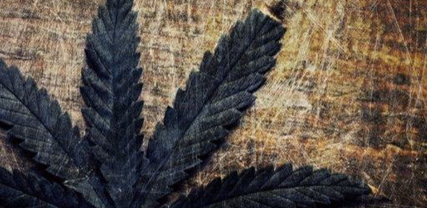 Hausmittel - Naturheilkräfte Header - AppWisp.com Hausmittel - Naturheilkräfte Header - AppWisp.com