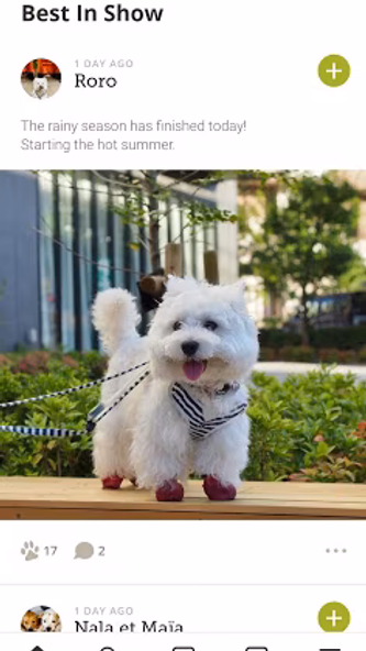 Yummypets - Dogs Cats Network Screenshot 1 - AppWisp.com Yummypets - Dogs Cats Network Screenshot 1 - AppWisp.com