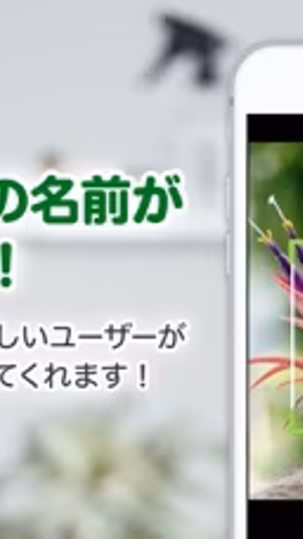 GreenSnap - 植物・花の名前が判る写真共有アプリ Screenshot 1 - AppWisp.com GreenSnap - 植物・花の名前が判る写真共有アプリ Screenshot 1 - AppWisp.com