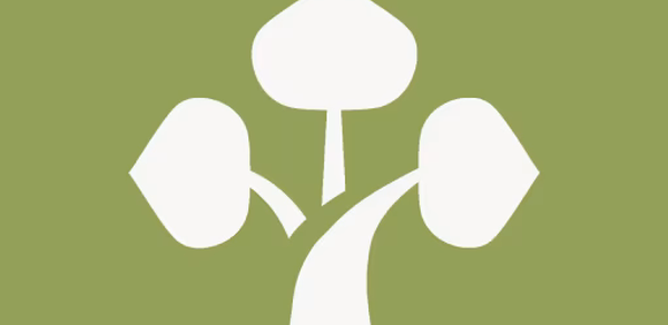 Bonsai Care App Header - AppWisp.com Bonsai Care App Header - AppWisp.com