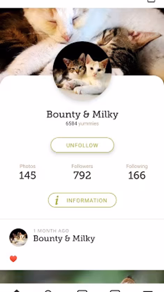 Yummypets - Dogs Cats Network Screenshot 2 - AppWisp.com Yummypets - Dogs Cats Network Screenshot 2 - AppWisp.com