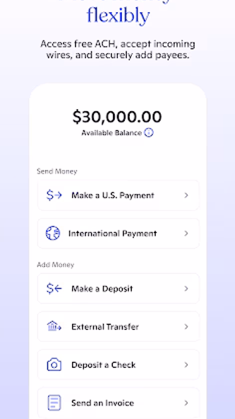 Novo - Small Business Checking Screenshot 2 - AppWisp.com Novo - Small Business Checking Screenshot 2 - AppWisp.com