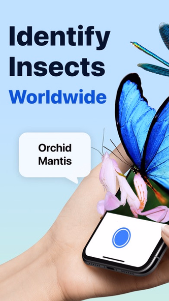 Picture Insect: Bug Identifier Screenshot 1 - AppWisp.com Picture Insect: Bug Identifier Screenshot 1 - AppWisp.com