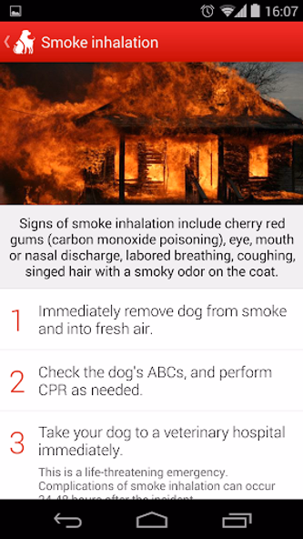 Pet First Aid Screenshot 4 - AppWisp.com Pet First Aid Screenshot 4 - AppWisp.com