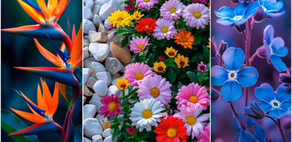 Flower Wallpapers 4K Header - AppWisp.com Flower Wallpapers 4K Header - AppWisp.com