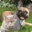 Lou & Emmi - AppWisp.com