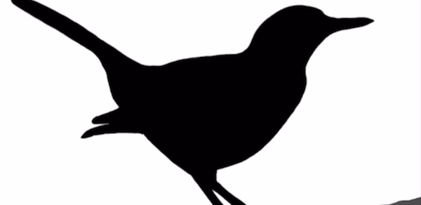 Bird ID Master Header - AppWisp.com Bird ID Master Header - AppWisp.com