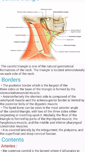 Human Anatomy E Theories Screenshot 4 - AppWisp.com Human Anatomy E Theories Screenshot 4 - AppWisp.com